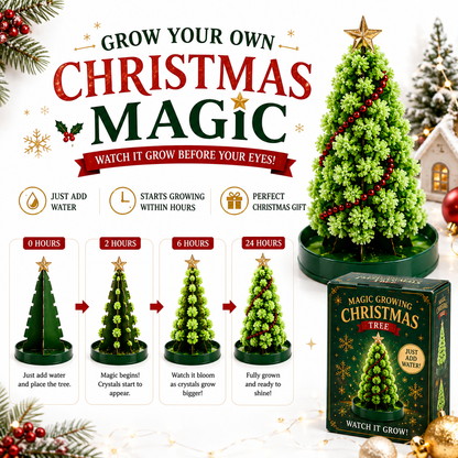 LIMITED DISCOUNT🎄 Magic Growing Christmas Tree 🎁