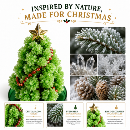 LIMITED DISCOUNT🎄 Magic Growing Christmas Tree 🎁