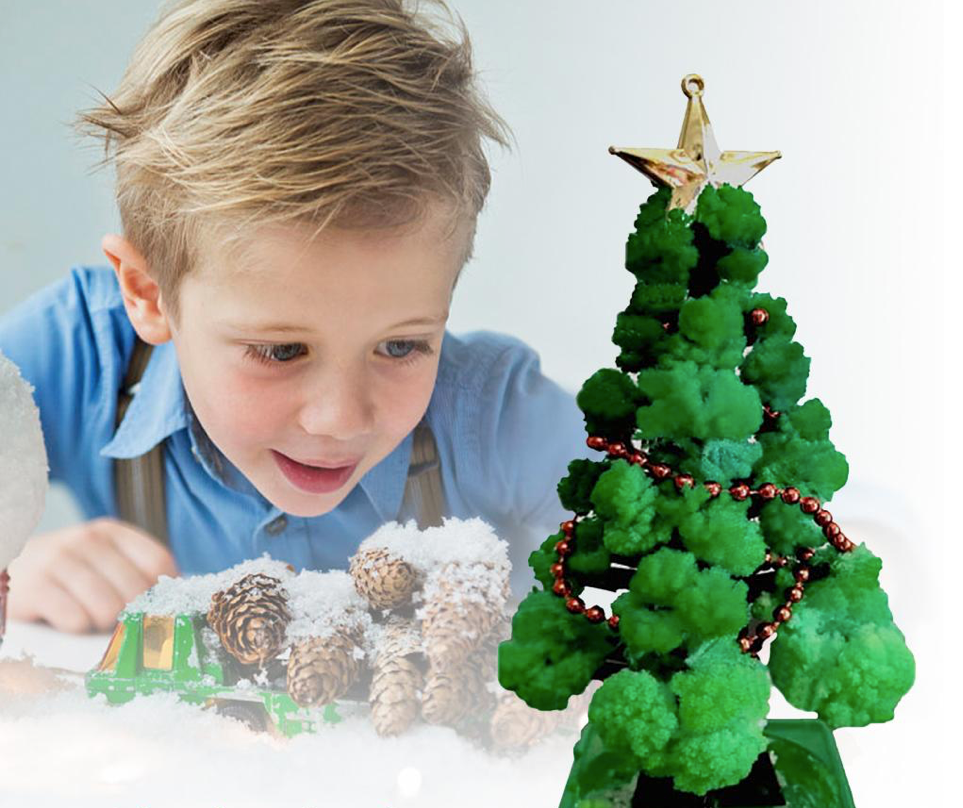 Unisex Magic Growing Christmas Tree Kit for Kids