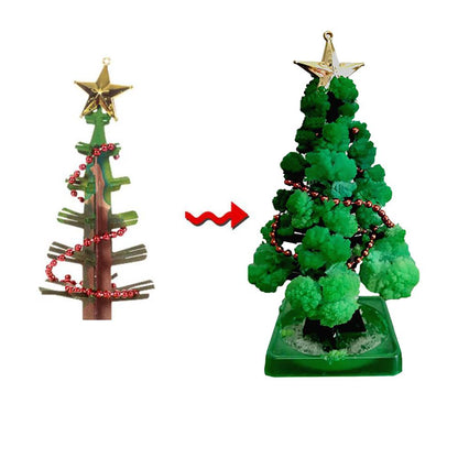 Unisex Magic Growing Christmas Tree Kit for Kids