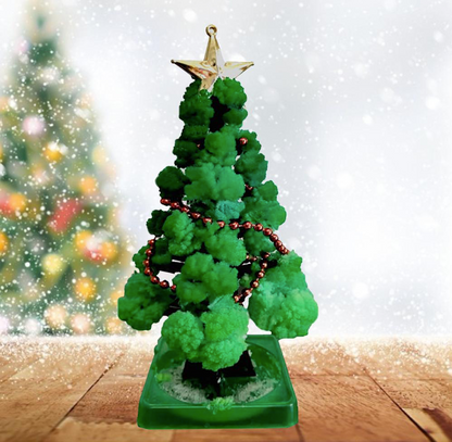 Unisex Magic Growing Christmas Tree Kit for Kids